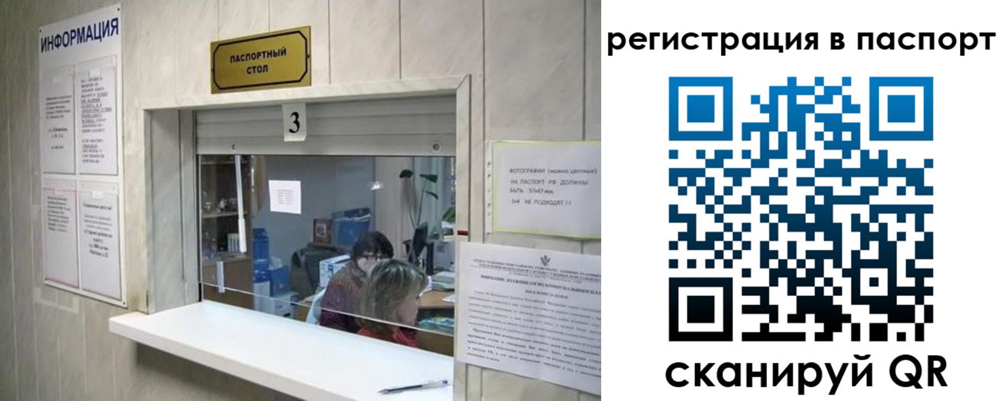 прописка поиск в Чернушке